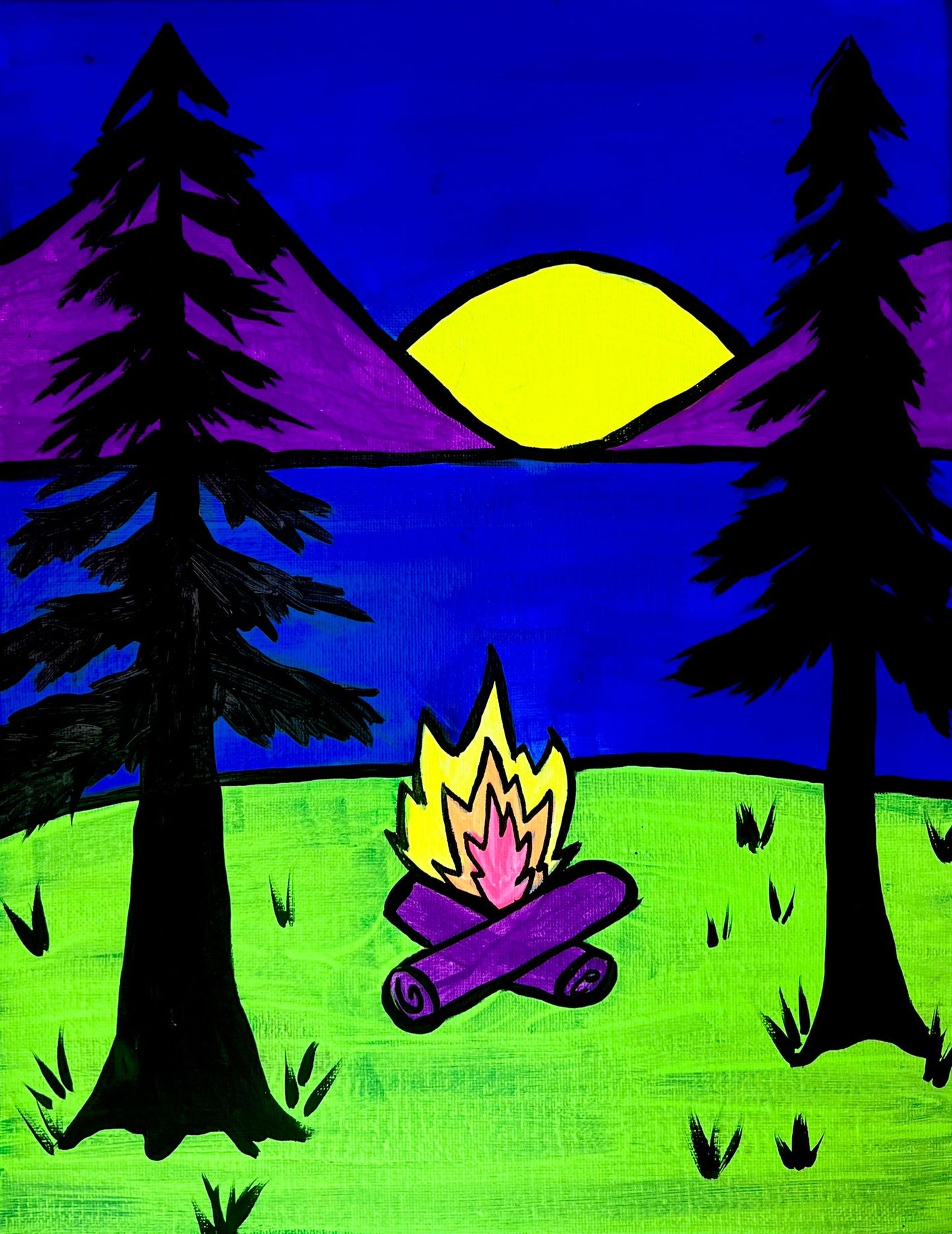 Black Light Paint Kits